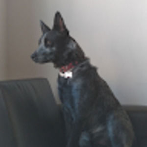 Meet your Posher, Lexie